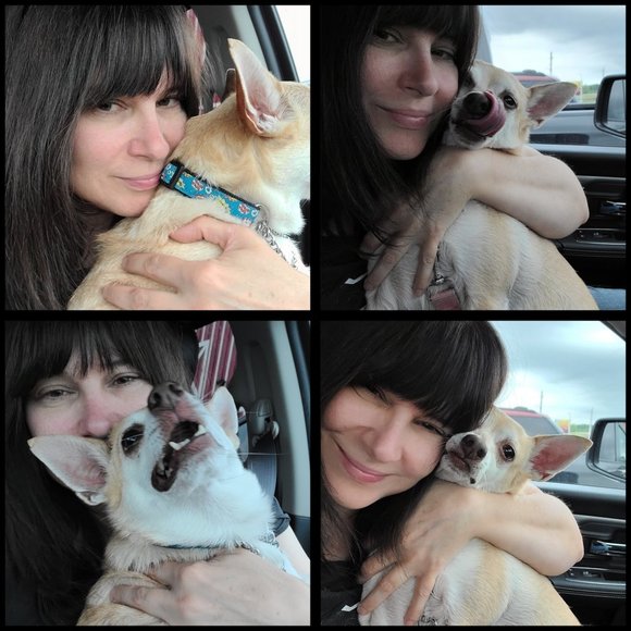 Meet your Posher, Tracey - Picture 1 of 1